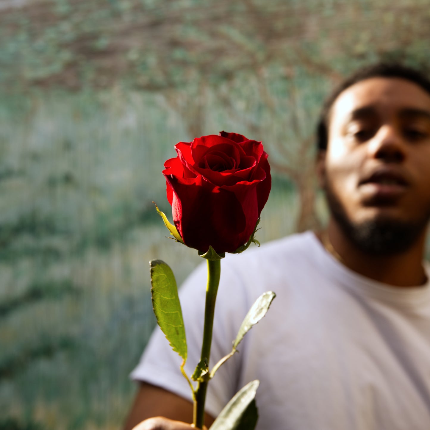 97 Kisses (Single)