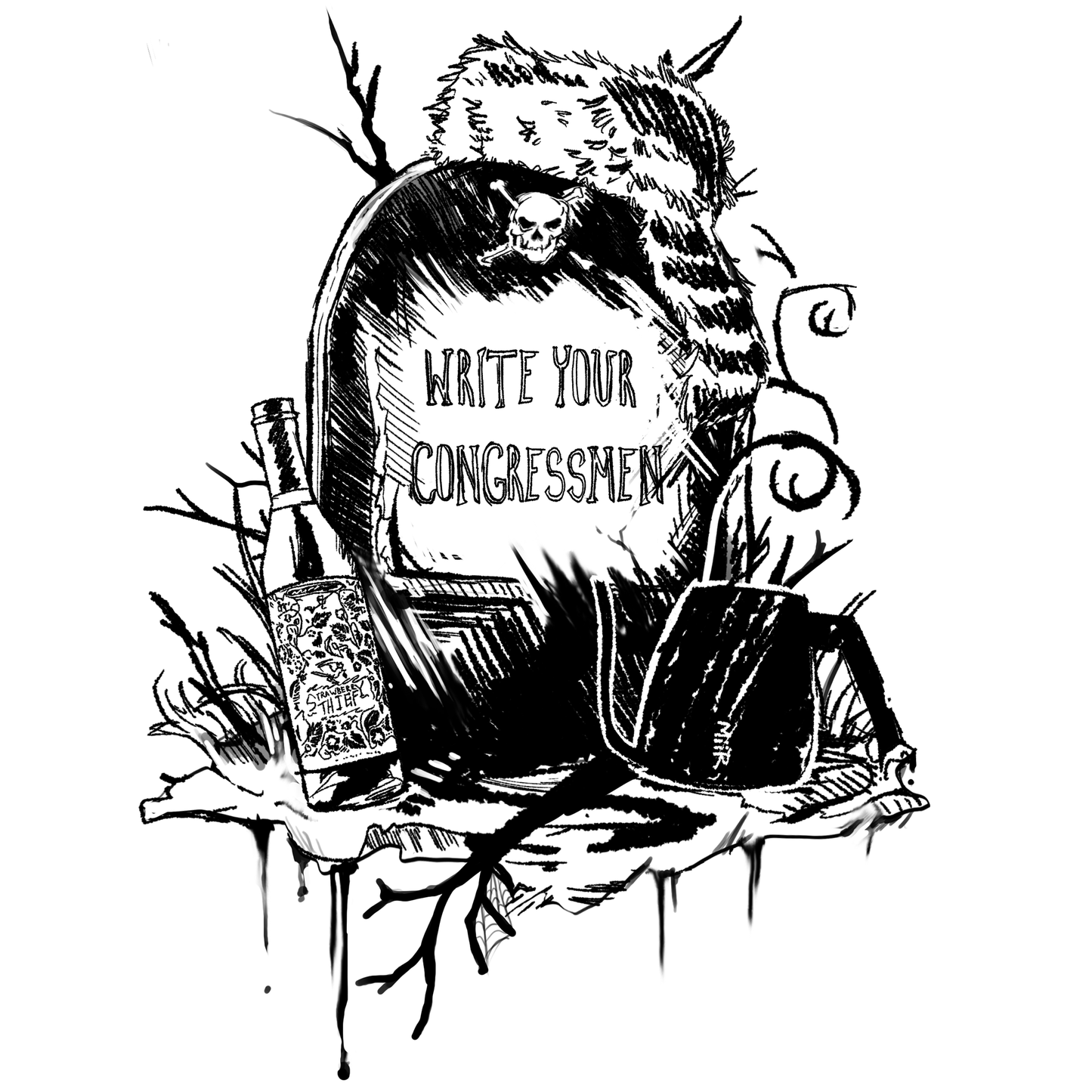 Write Your Congressman feat. Hans Einztien (Single)