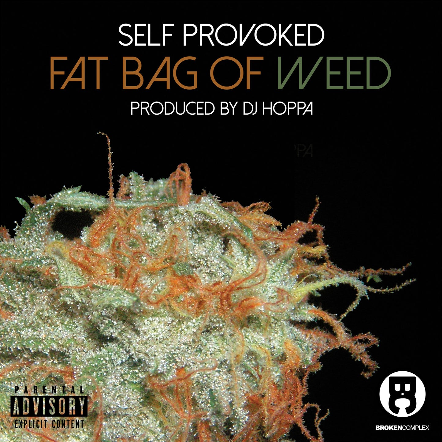 Fat Bag Of Weed [F.B.O.W.] (Single)