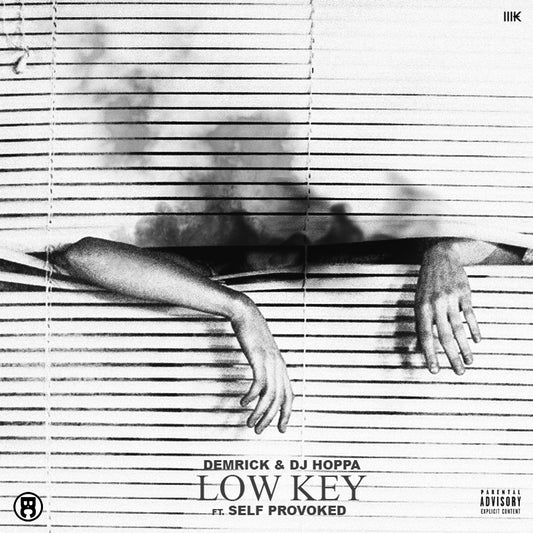 Low Key Feat. Self Provoked (Single)